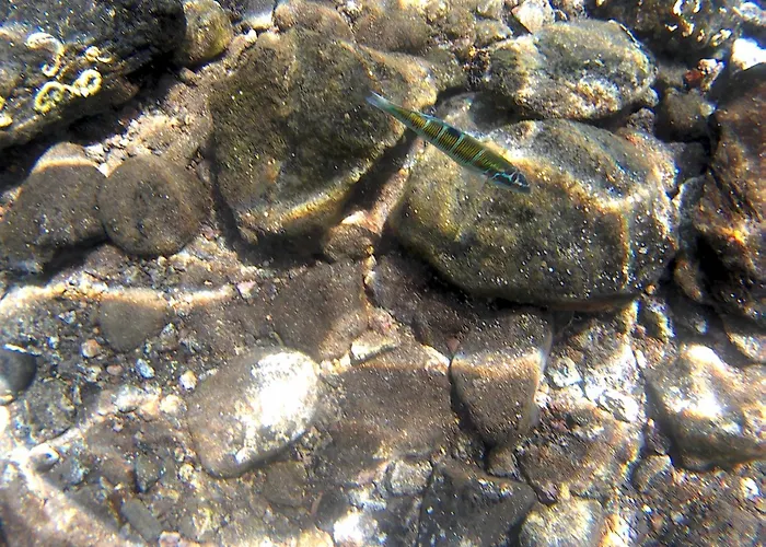 Apartment Reis Magos Sea Line