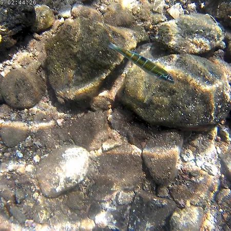 Apartamento Reis Magos Sea Line